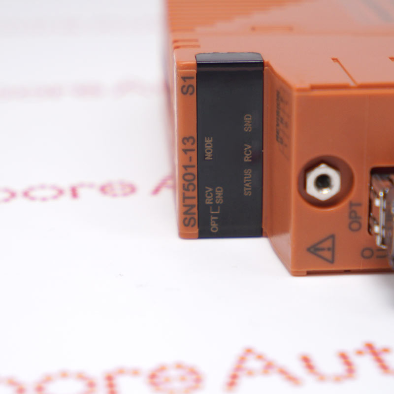 Yokogawa SNT501-13 S1